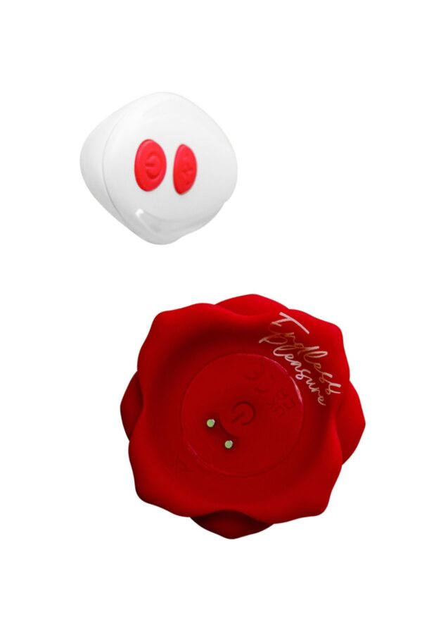 USK-A11WithRemoteRED1N7A8738.jpg Rose Remote Control Massager