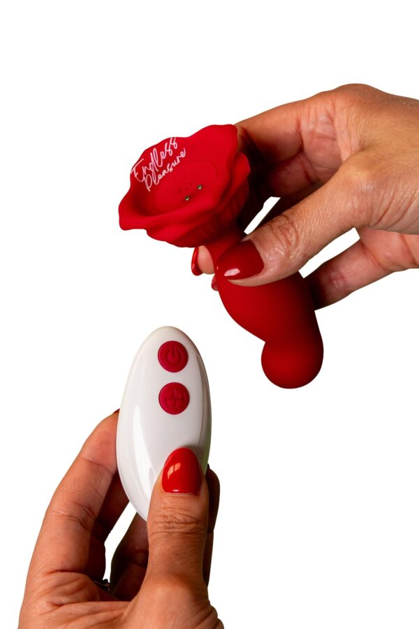 USK-A11WithRemoteRED1N7A8741.jpg Rose Remote Control Massager
