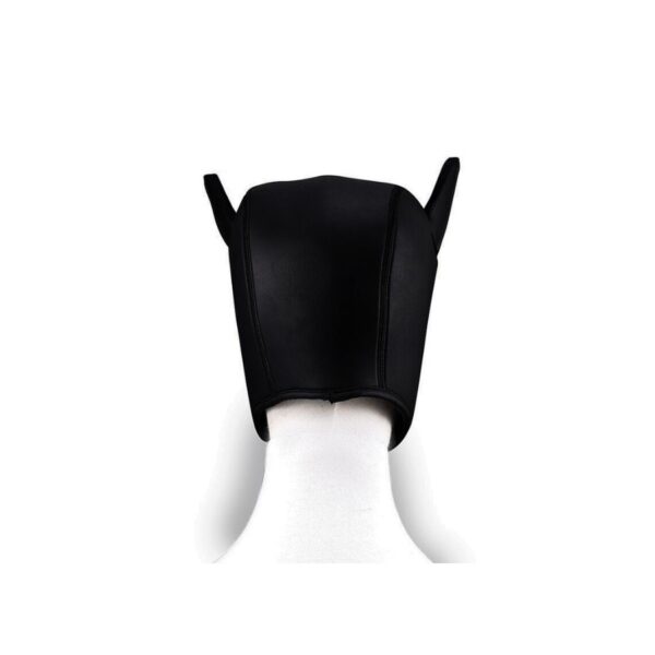 Kinky BDSM Dog Hood