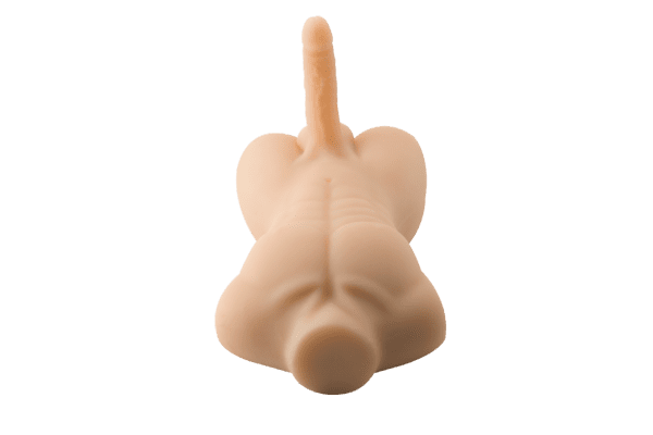 Elite Realistic Male Torso
