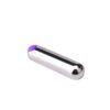 Mini Bullet Vibrator Purple