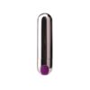 Mini Bullet Vibrator Purple