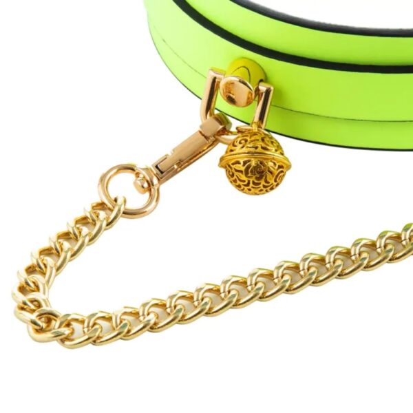 Glow Collar & Lead Green1 Glow Collar & Lead Green