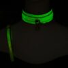 Glow Collar & Lead Green2 Glow Collar & Lead Green