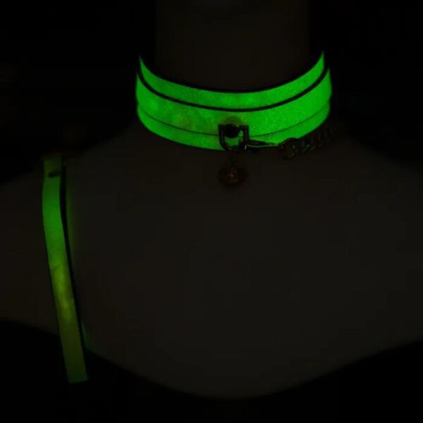 Glow Collar & Lead Green2 Glow Collar & Lead Green